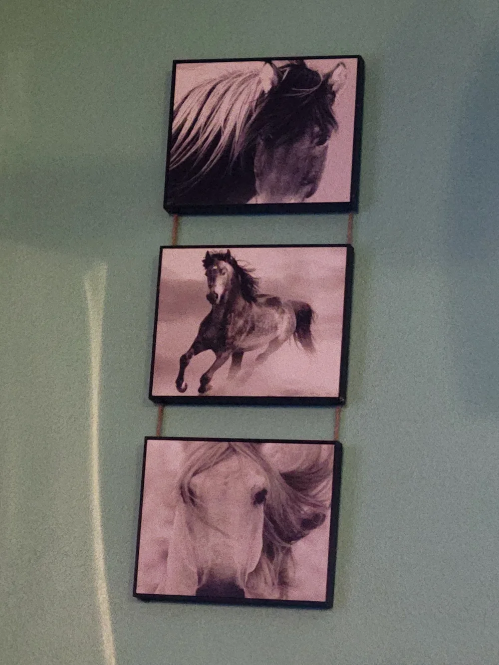 Black and White Horse Triptych Wall Art